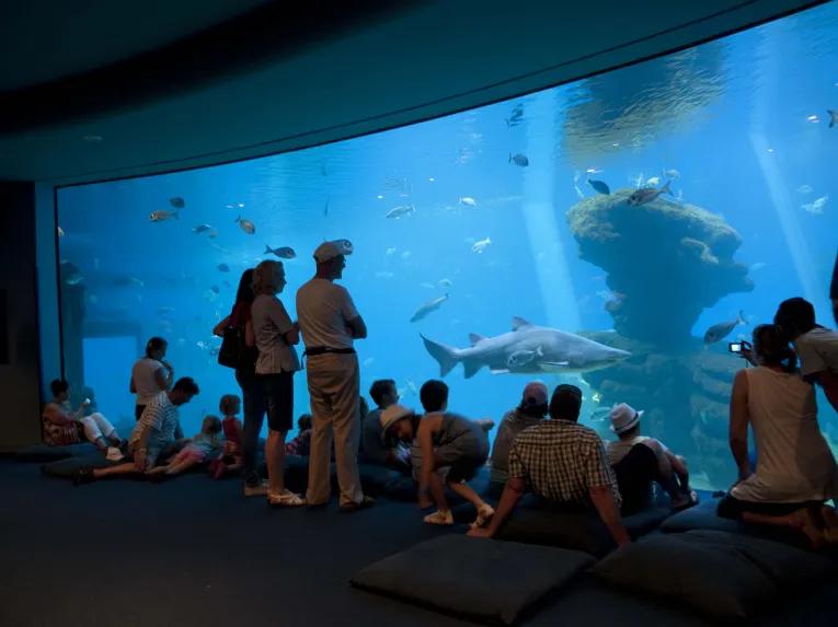 Palma Aquarium