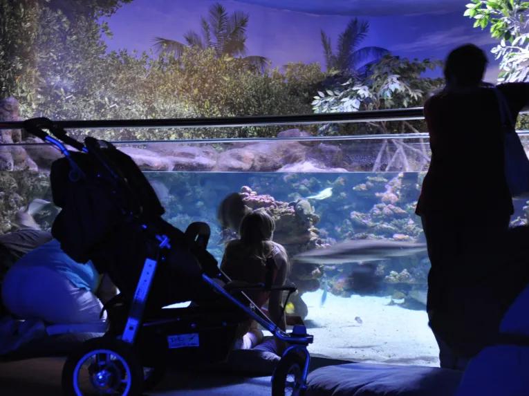 Palma Aquarium