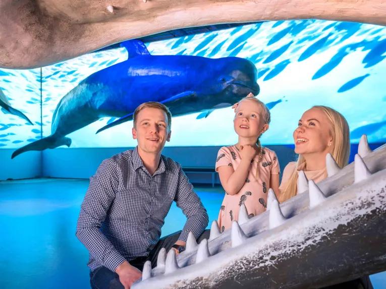 Whales of Iceland Exhibition - Entrance Ticket