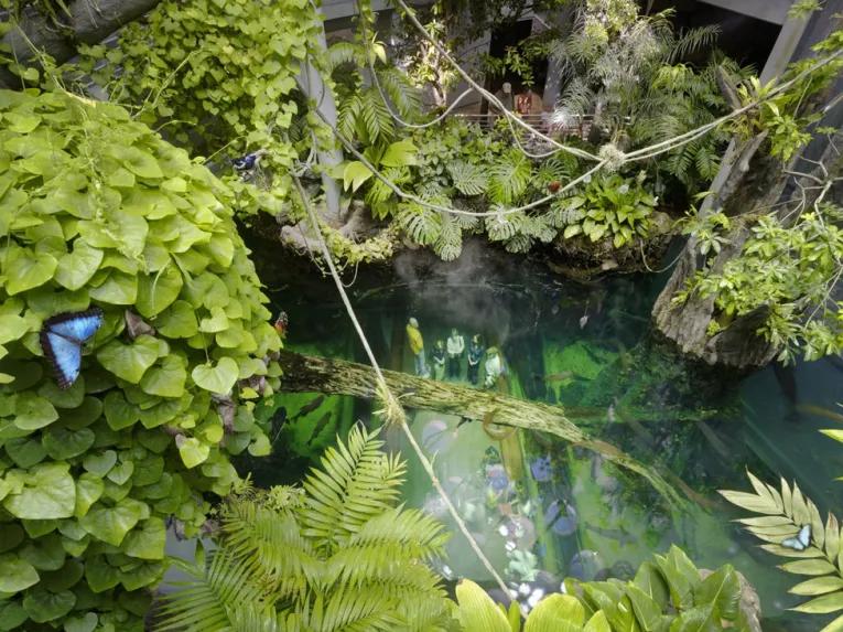 California Academy of Sciences