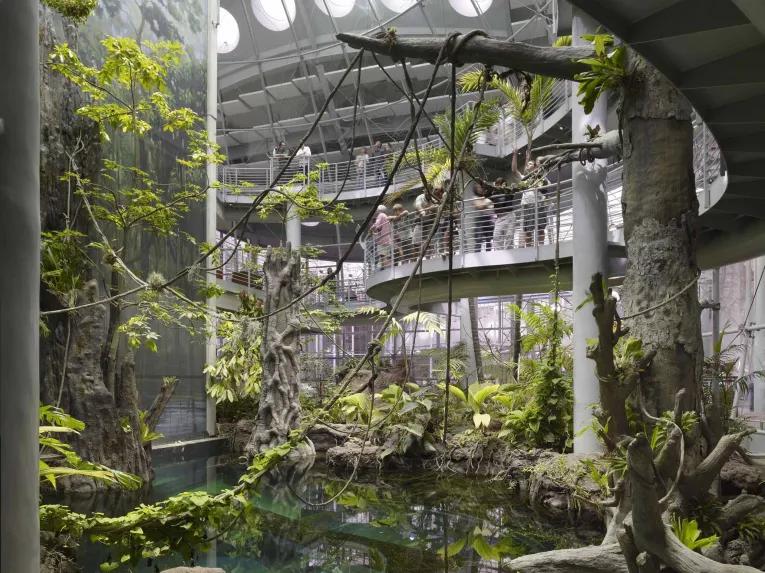 California Academy of Sciences