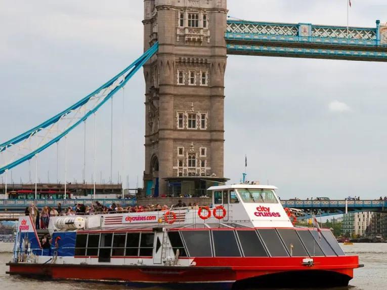 River Thames Hop-on Hop-off Sightseeing Cruise & Tower of London Combo Ticket