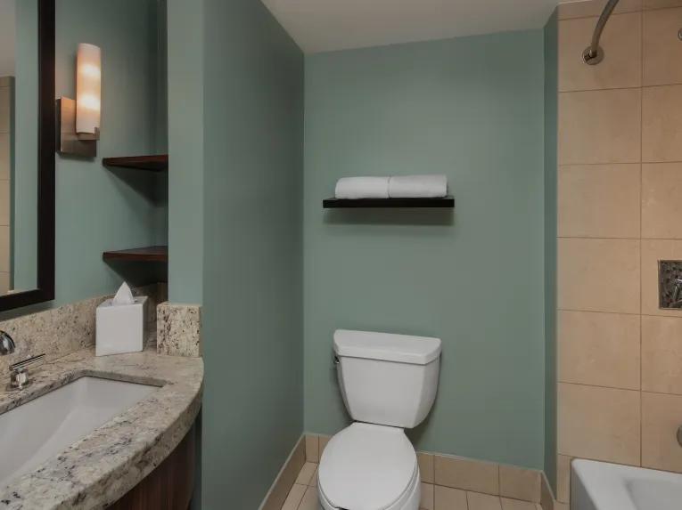 Deluxe Studio - Theme Park View