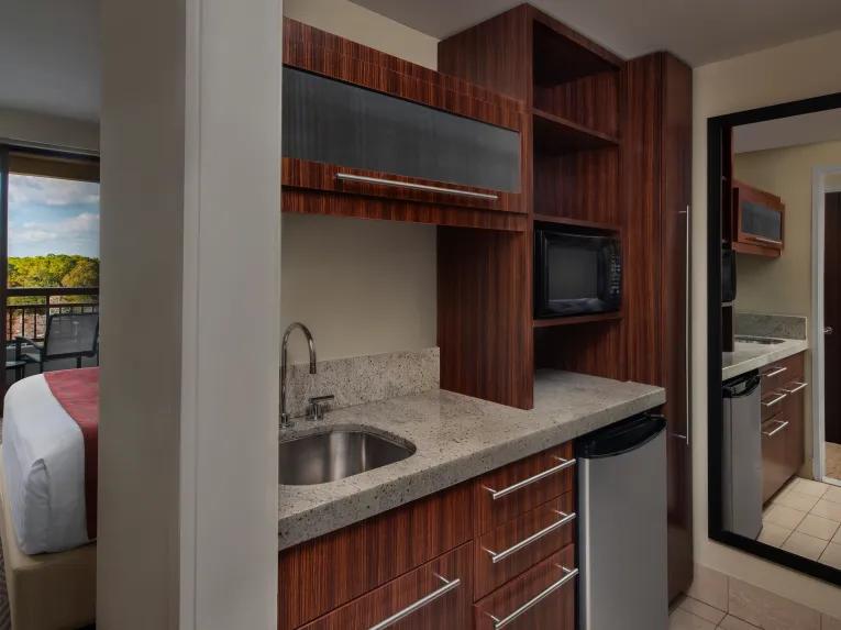 Deluxe Studio - Theme Park View