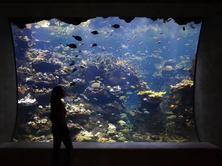 San Francisco CityPASS