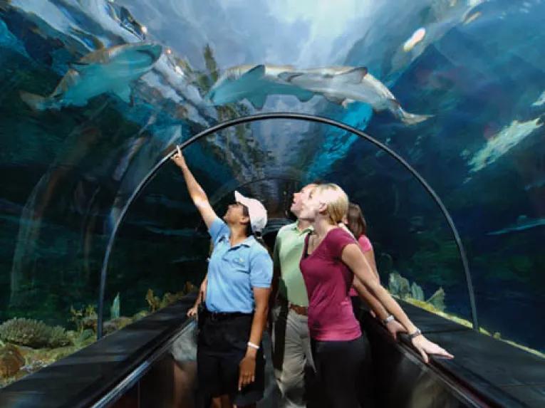 SeaWorld Parks & Entertainment®