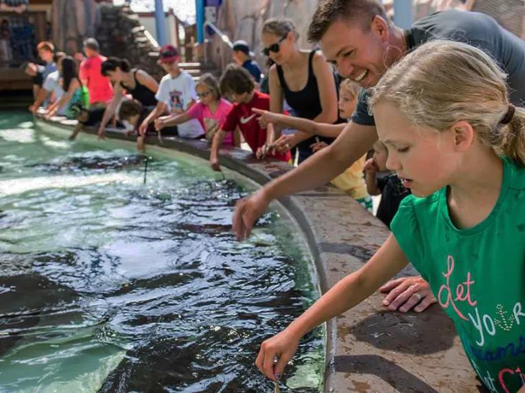 SeaWorld California One Day Ticket with Six Days Free