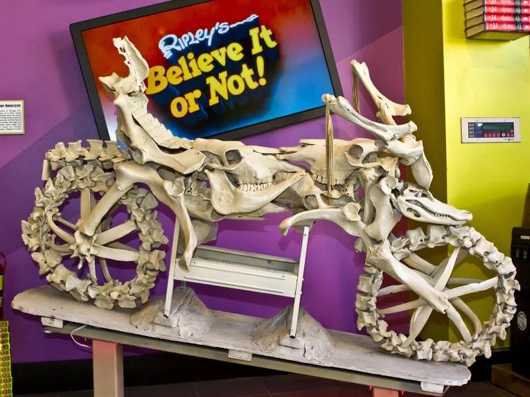 Go Miami Explorer Pass