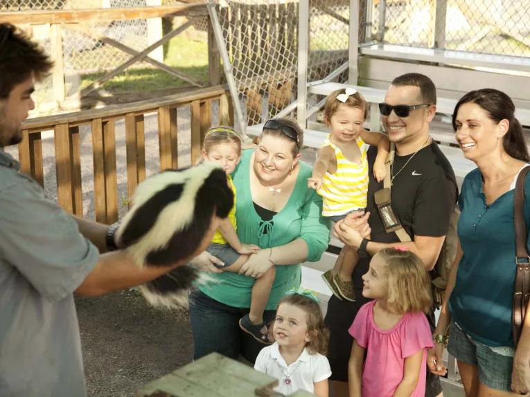 Go Miami Explorer Pass