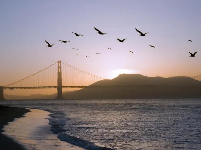 California Sunset San Francisco Bike Tour