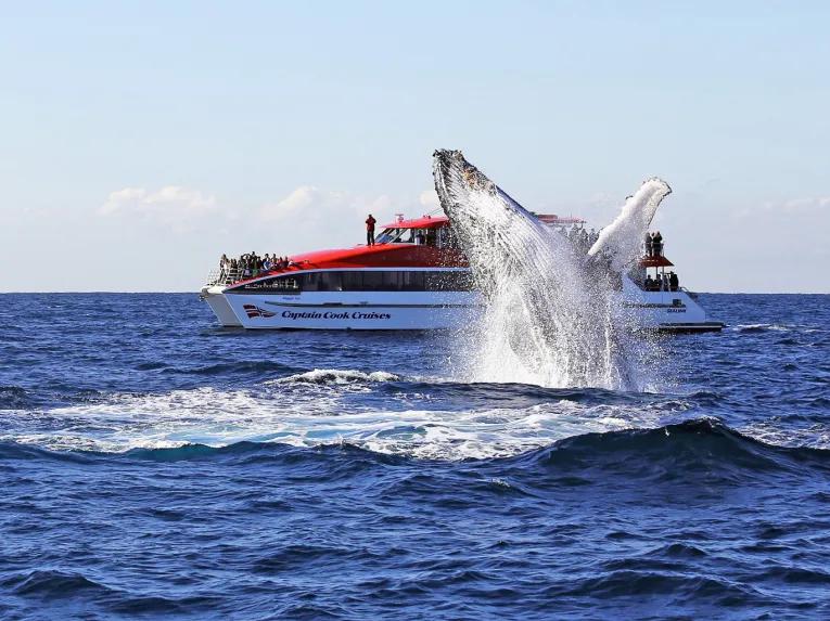 Sydney Flexi Attractions Pass