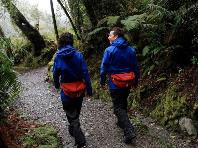 Franz Josef Glacier Valley Walk