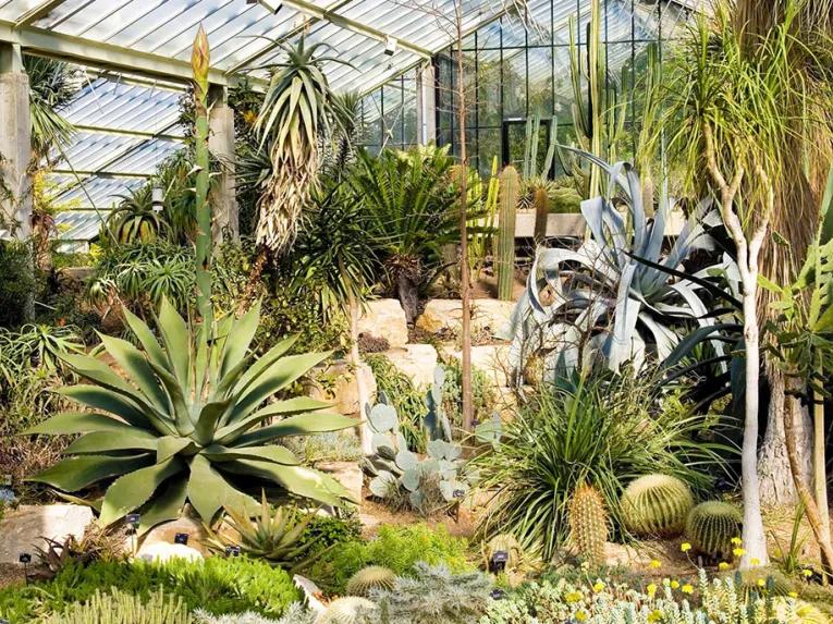 Visit to Kew Gardens and Palace with Cream Tea for Two