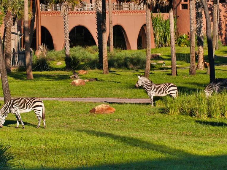 Savanna Room - Club Level Access