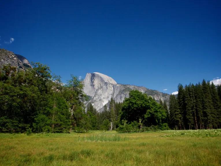 Yosemite National Park in a Day