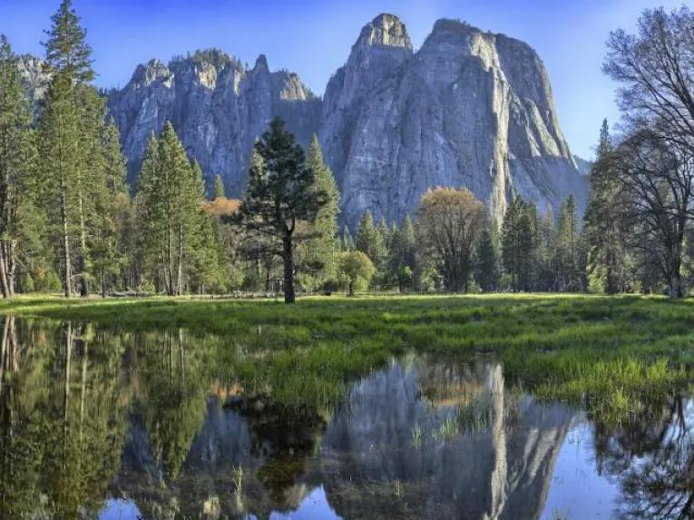 Yosemite National Park in a Day