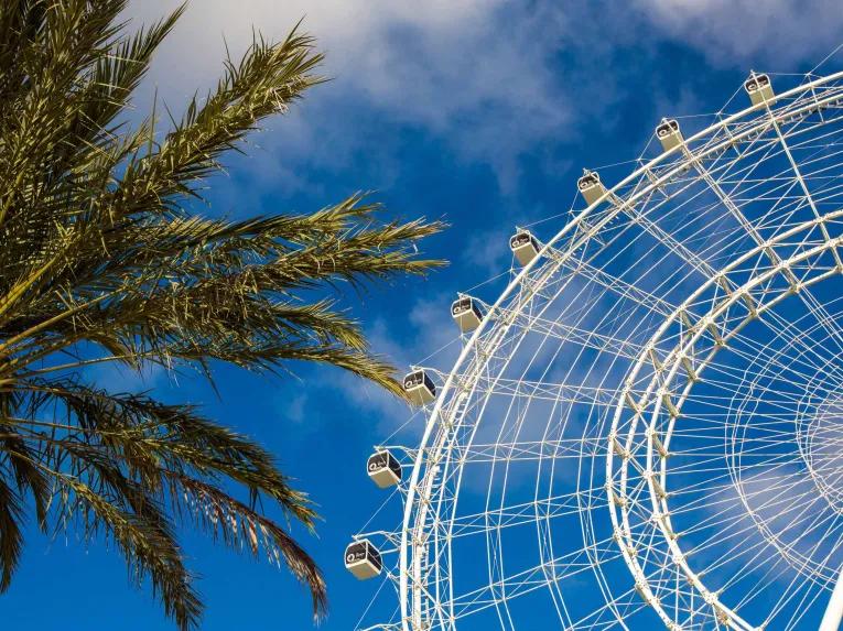 The Wheel at ICON Park