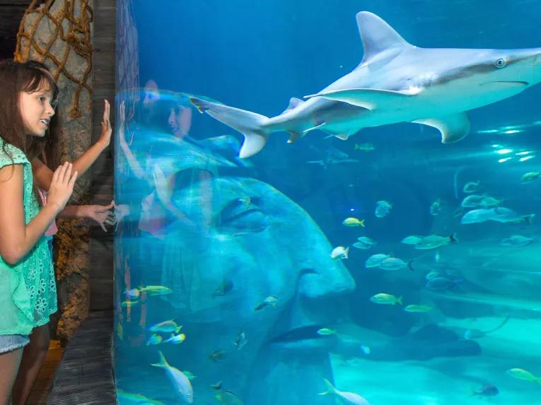 Sea Life Orlando Tickets