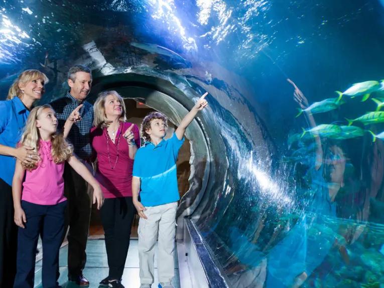 Sea Life Orlando Tickets