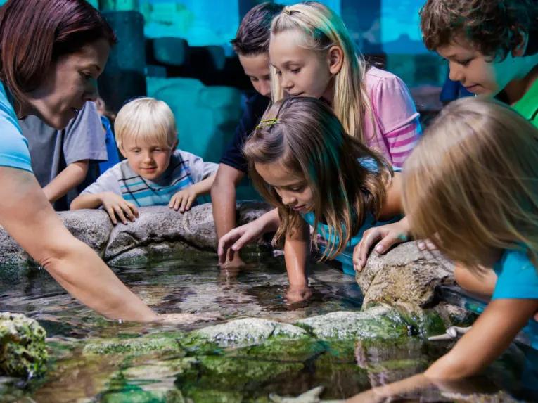 Sea Life Orlando Tickets