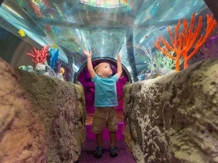 Sea Life Orlando Tickets