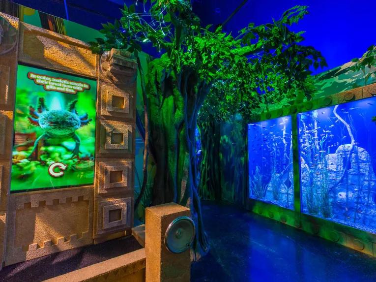 Sea Life Orlando Tickets