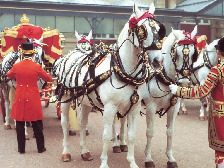 Buckingham Palace with Royal Mews Tickets