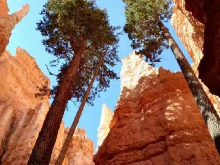 Bryce Canyon National Park Day Trip