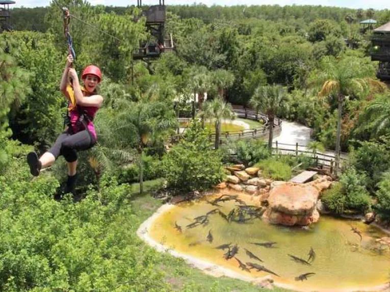 Gatorland zipline