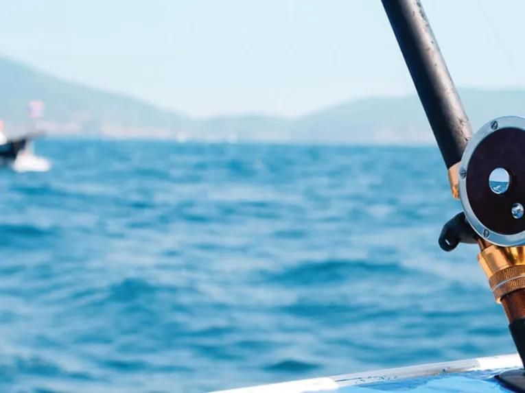 Gulf Coast Deep Sea Fishing Tour from Orlando