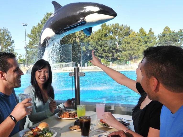 Dine with Killer Whales at SeaWorld Orlando