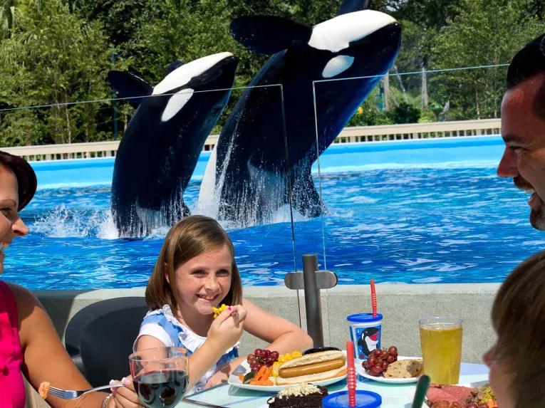 Dine with Killer Whales at SeaWorld Orlando