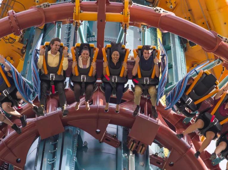 Falcons Fury at Busch Gardens Tampa Bay