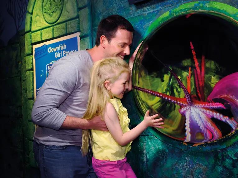 Girl viewing an octopus at Sea Life London Aquarium.jpg