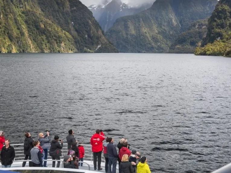 Doubtful Sound Cruise Queenstown