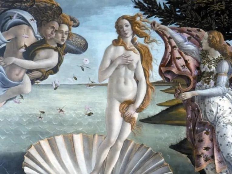 Florence City Tour with The Uffizi Gallery