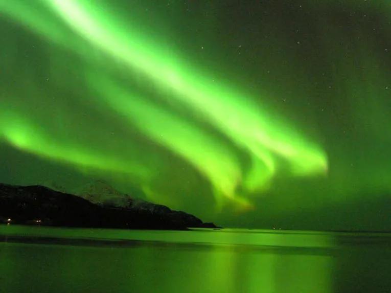Northern Lights by boat