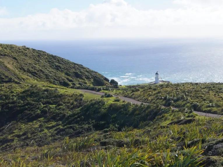Cape Reinga