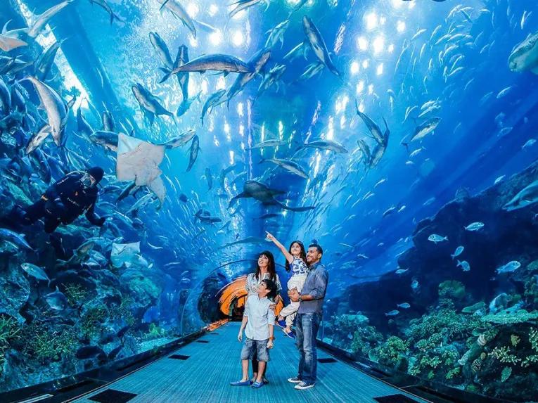 Dubai aquarium included with the Dubai Explorer Pass