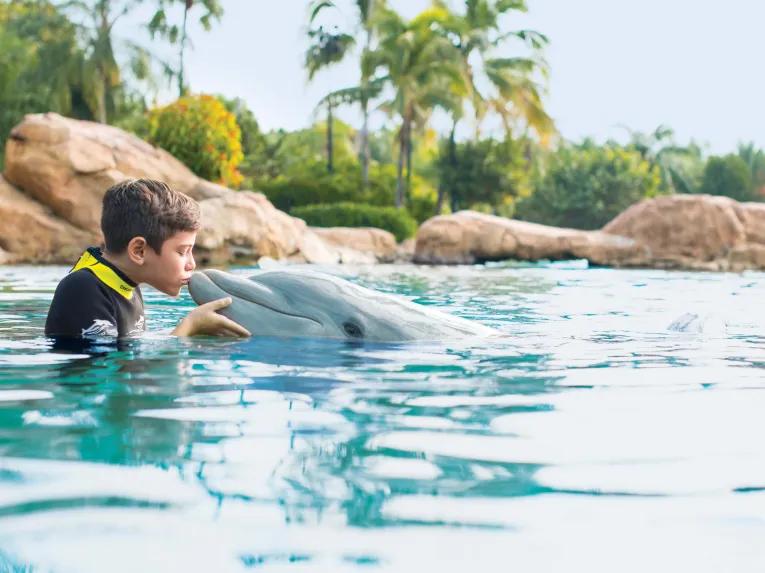 Enjoy a day a paradise at Discovery Cove