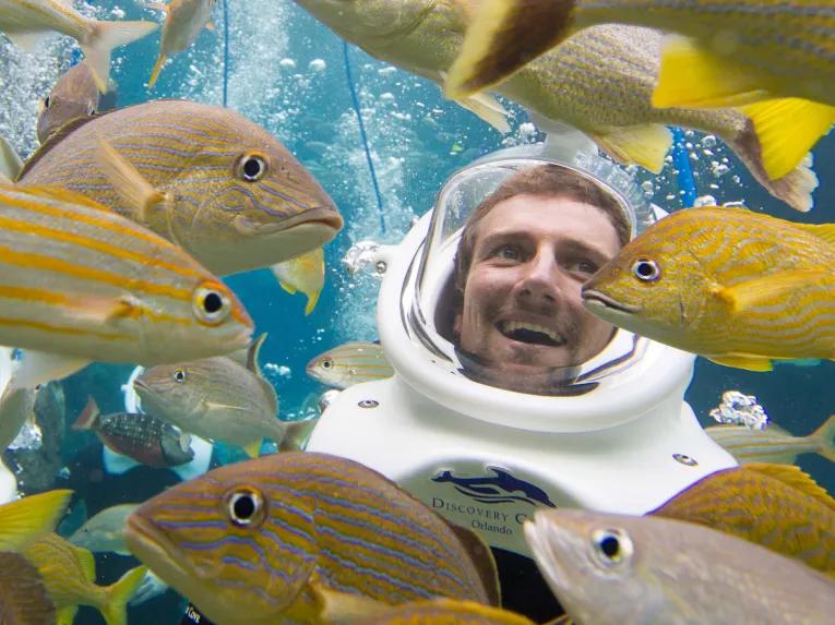 SeaVenture underwater walking tour at Discovery Cove