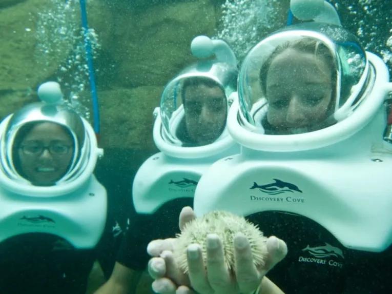 SeaVenture underwater walking tour at Discovery Cove