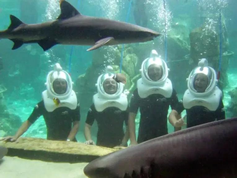SeaVenture underwater walking tour at Discovery Cove