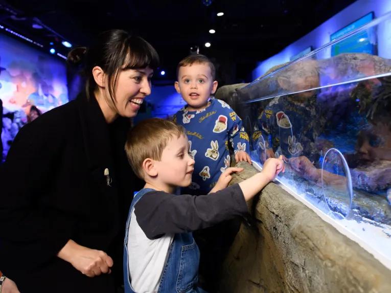 Family enjoying the Rock Pool Explorer at SEA LIFE London Aquarium