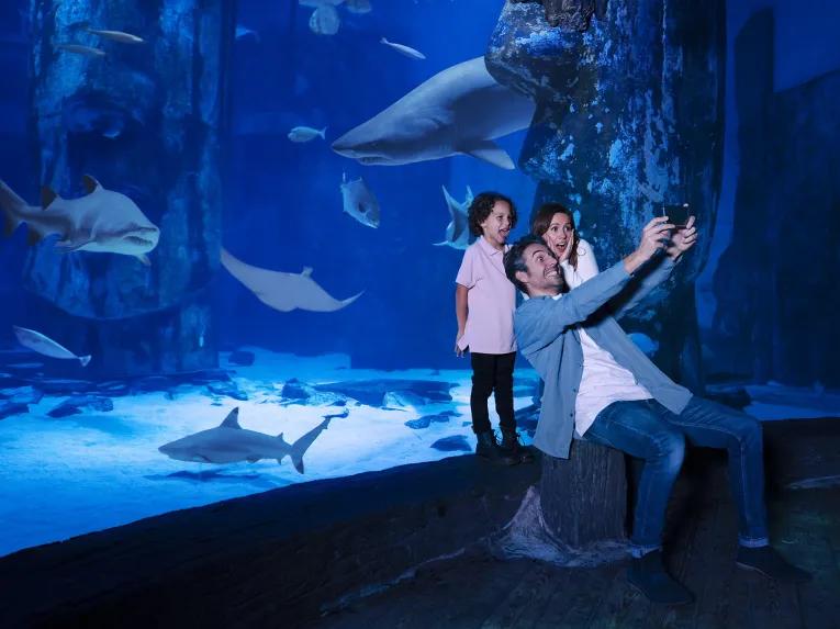 Family photo in front of the shark tank at SEA LIFE London Aquarium.jpg