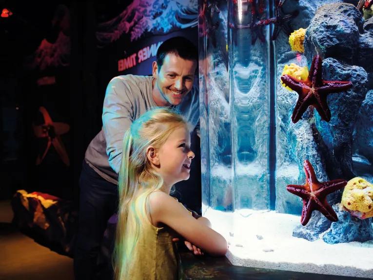 Girl viewing starfish at SEA LIFE London