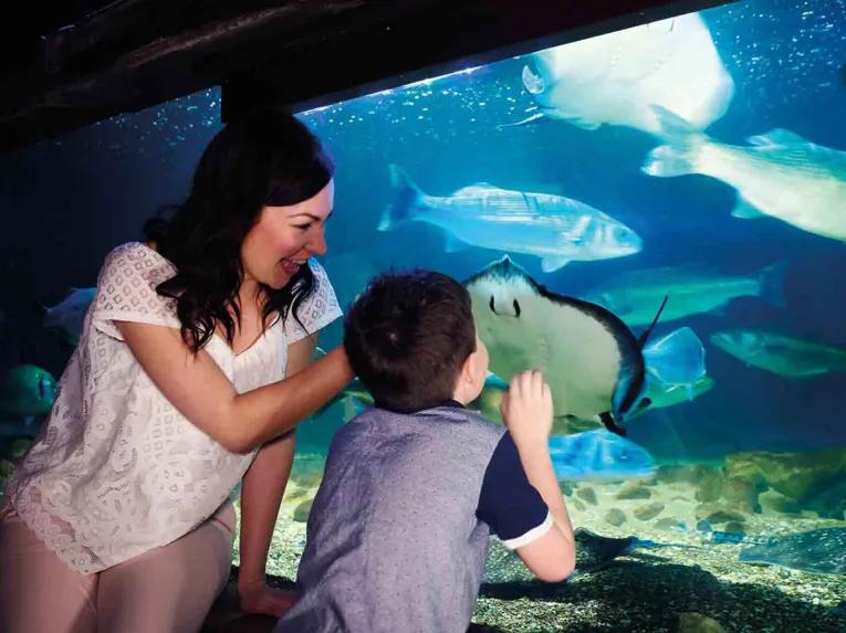 Mother and Son at SEA LIFE London Aquarium