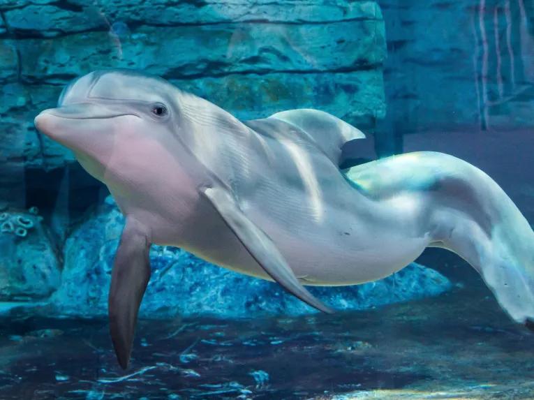 Small Group Clearwater Beach and Marine Aquarium