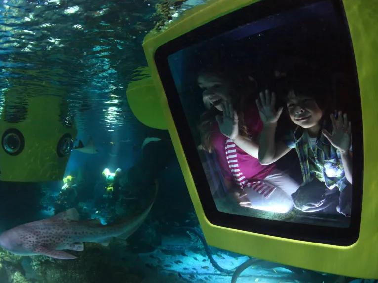 Submarine Adventure at LEGOLAND Dubai