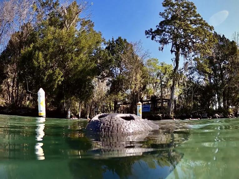 The Real Florida Adventure